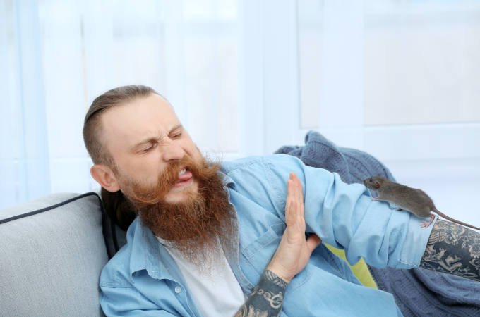 Bearded man with funny rat at home