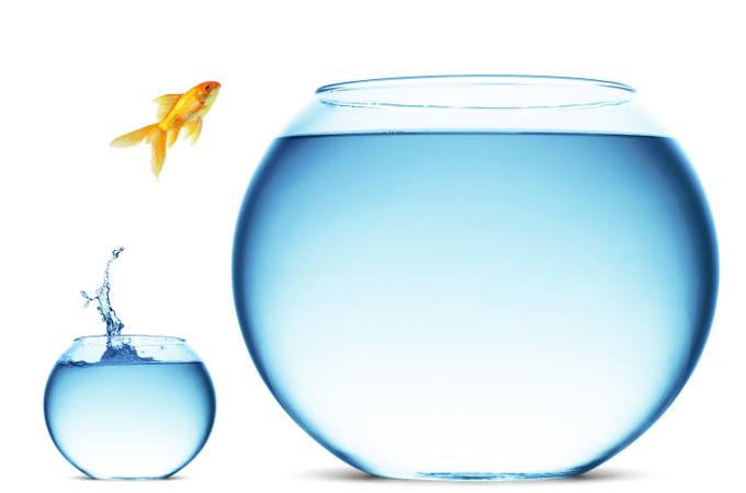 7 ways to challenge yourself