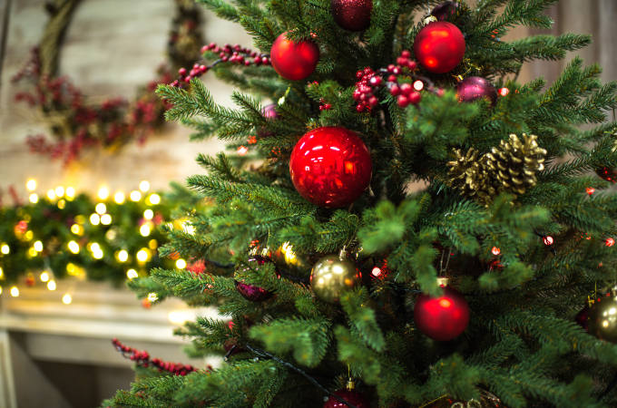 Fir tree with Christmas decorations
